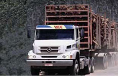 Transportando Madeira