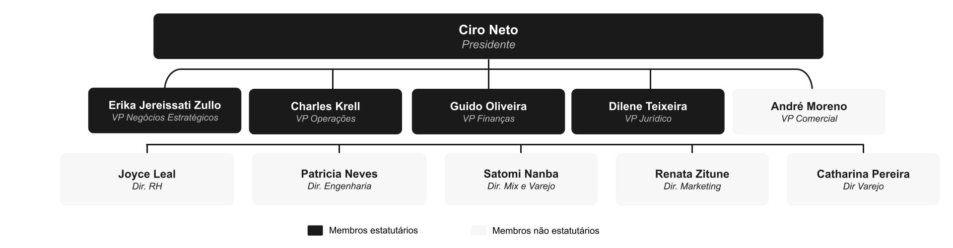 Comitê Executivo