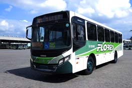 Carro Flores