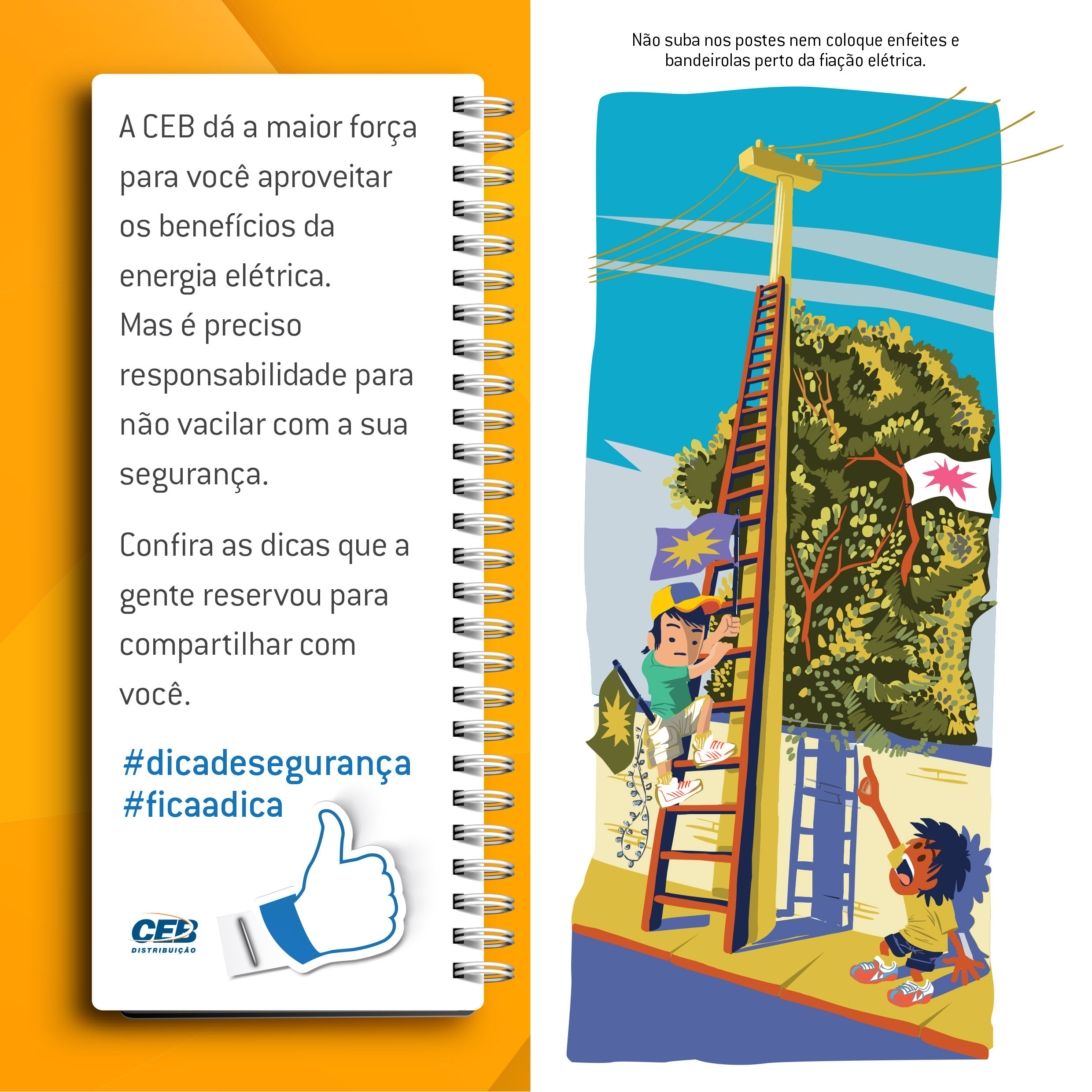 Material de divulgação