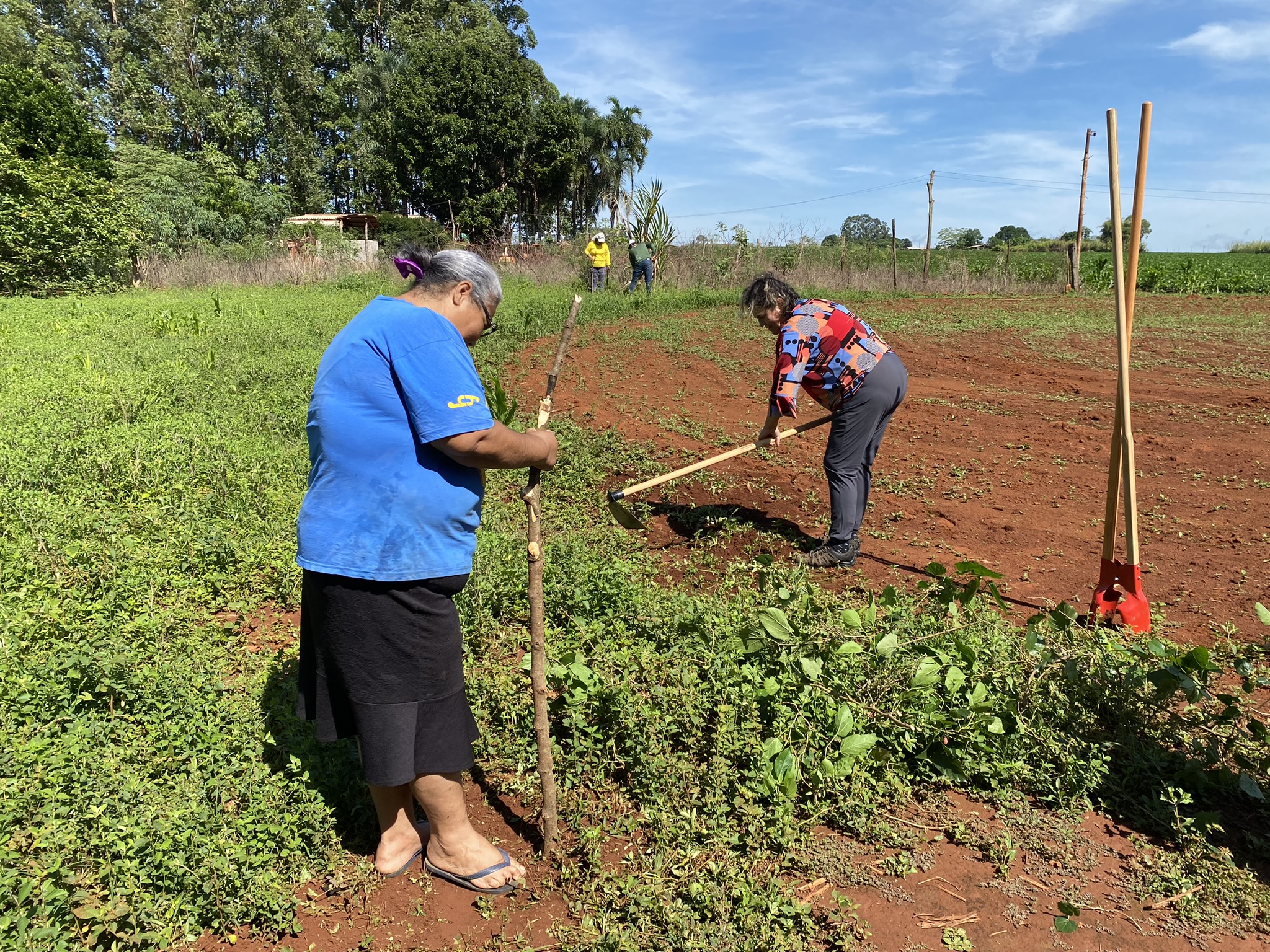 Virada Ambiental - Mudas