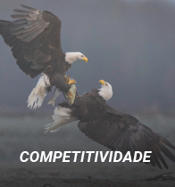 01 - Competitividade