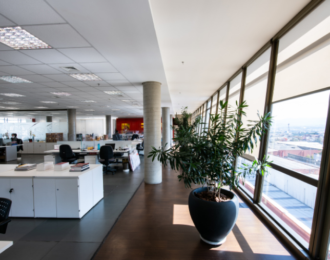 Pandurata (Bauducco) – Guarulhos/SP